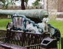 Cannon.JPG (21815 bytes)