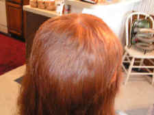 PICT3994.JPG (1452223 bytes)