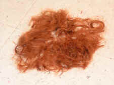 PICT4005.JPG (1576695 bytes)