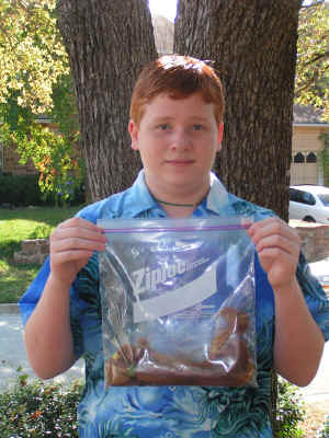 PICT4006.JPG (1419040 bytes)