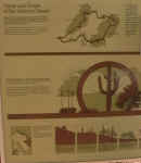 IMGA1188.JPG (151992 bytes)