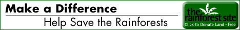 Sponsor Supported - Help preserve the rainforest for Free