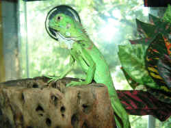 August 2, 2005