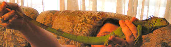 Speedy July 6, 2006