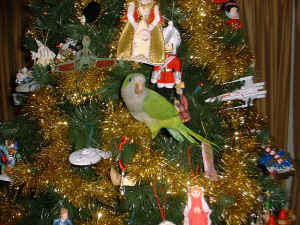 My First Christmas