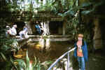 "Mayan temple"