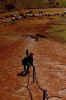Climbing Uluru