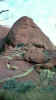 Near the Waterhole